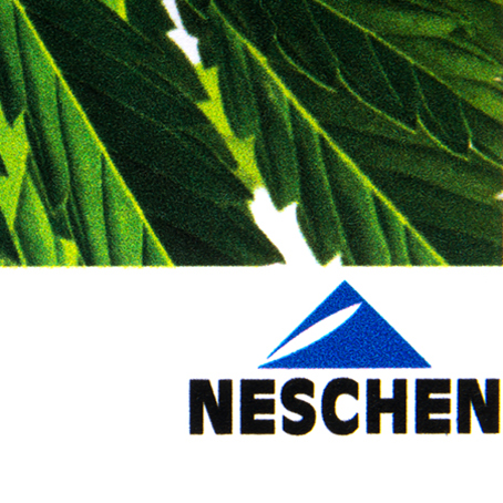 Tapeta fizelinowa Neschen Erfurt DV 662