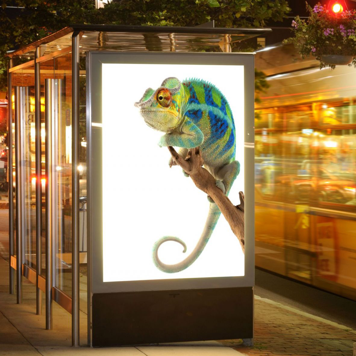 PLAKAT CITYLIGHT